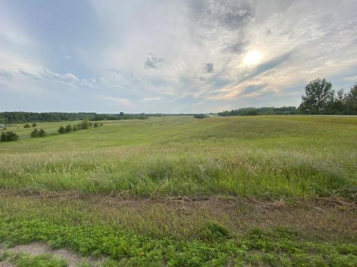 Lot 1 Block 1 Tasha Drive, Garfield, MN 56332