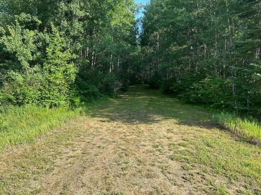 TBD Green Valley Drive, Menahga, MN 56464