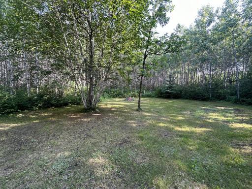 TBD Green Valley Drive, Menahga, MN 56464