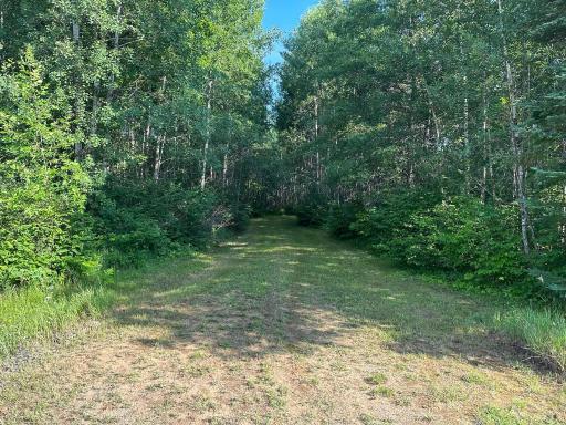 TBD Green Valley Drive, Menahga, MN 56464