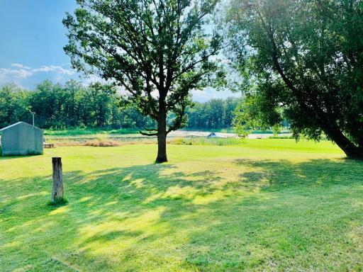 HUGE back yard with mature trees