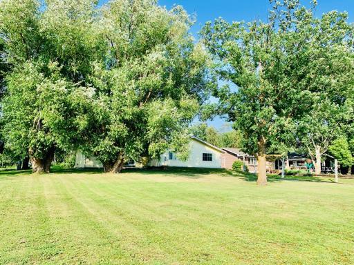HUGE back yard for waterfront property
