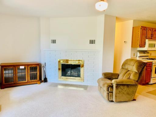 Wood burning fireplace