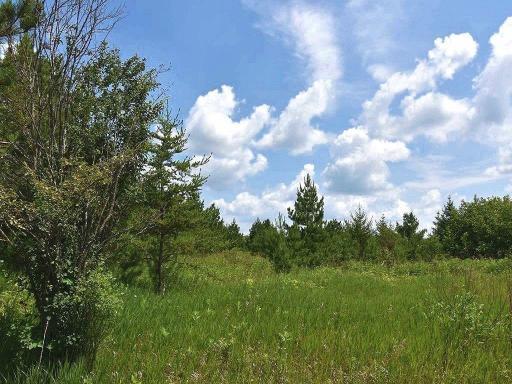 123 Gateway Drive, Akeley, MN 56433
