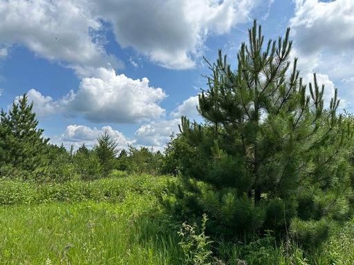 Photo for 123 Gateway Drive, Akeley, MN 56433 - Listing #6396281 123 Gateway Drive, Akeley, MN 56433