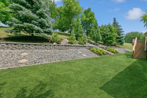 Backyard Landscaping