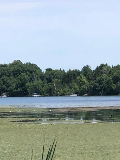 kreigle lake closer 7-11-23.jpg