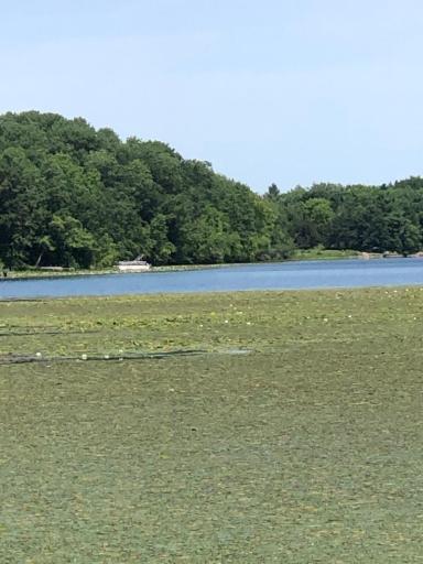 kreigle lake even closer 7-11-23.jpg