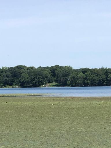 kreigle lake pics 7-11-23.jpg