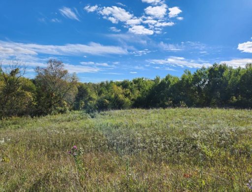 Enjoy 3.85 acres of natural beauty in Aspen Creek!