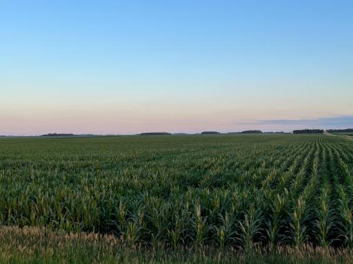 TBD 840th Street, Okabena, MN 56161