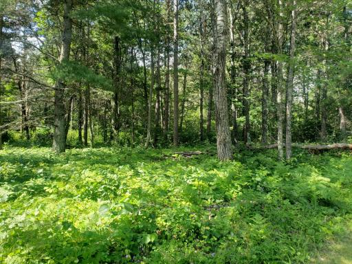 TBD Grouse Loop NW, Walker, MN 56484