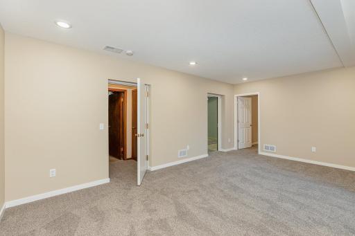 Lower level bedroom.