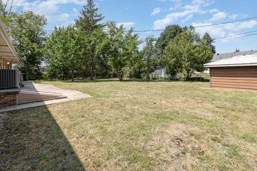 There is a cherry tree i the back yard that produces loads of cherries early in the summer.