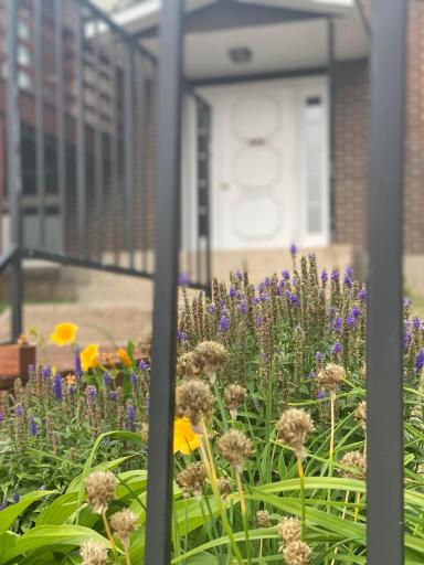 1229 Madison Avenue, #291, Detroit Lakes, MN 56501