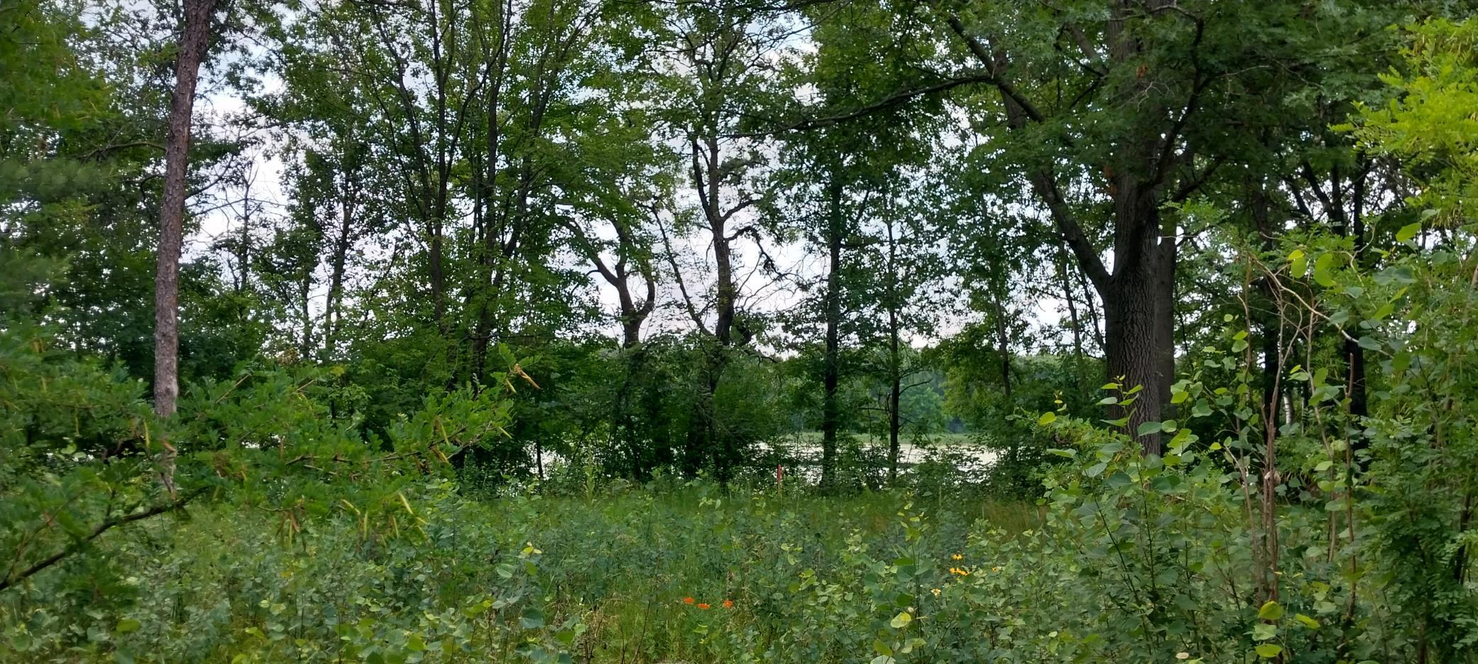20230630_124048.jpg