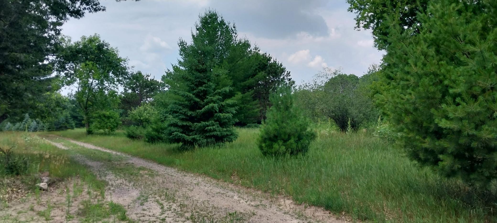 20230630_124259.jpg