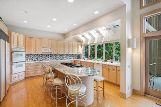 Bright chef's kitchen with a row of skylights