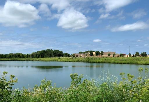 Fieldstone Elementary School is literally walking distance from this home. Nature trails beyond the school.