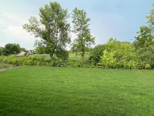 Beautiful private views to the rear yard! This one is a must see! Get it before it's gone!