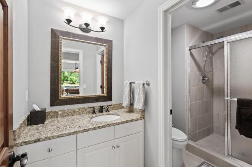 The full lower-level bathroom has a separate shower/toilet room.