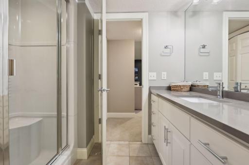 Lower level bathroom with sauna and steam shower