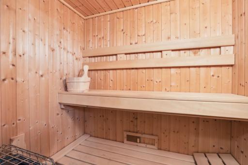 Lower level bathroom with sauna and steam shower