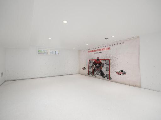 State of Hockey. Lower level 22' x 18' sport court.