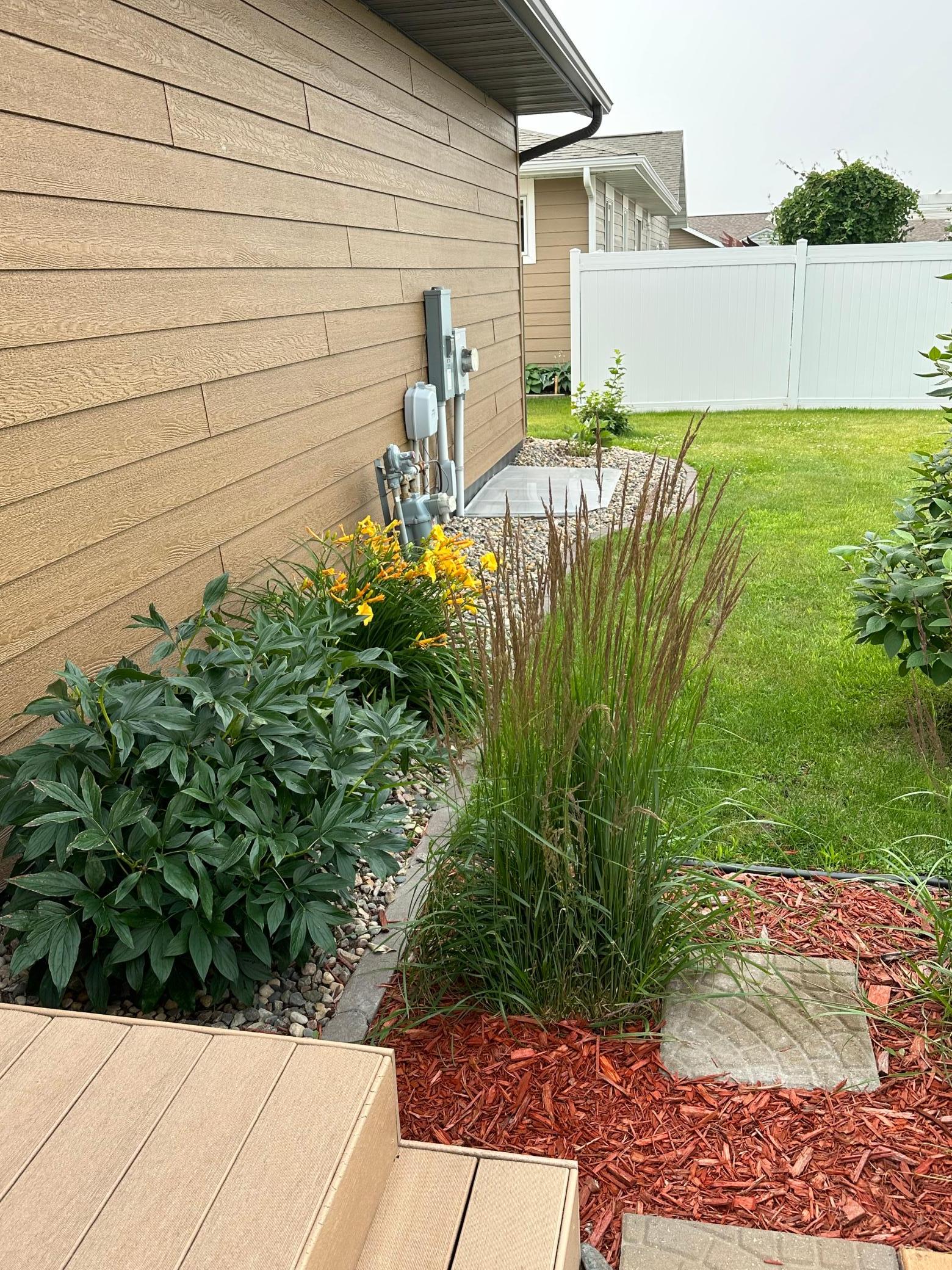 Back area 2.jpg