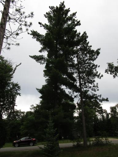 3960 Sherman Drive NE, Bemidji, MN 56601