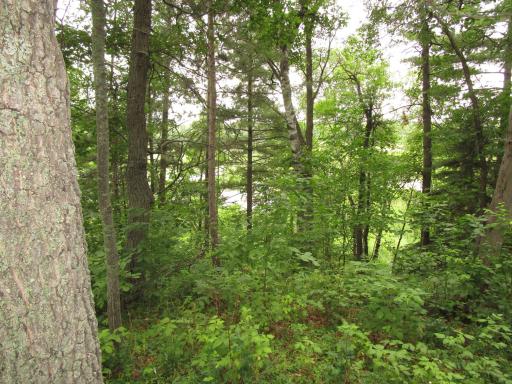 3960 Sherman Drive NE, Bemidji, MN 56601
