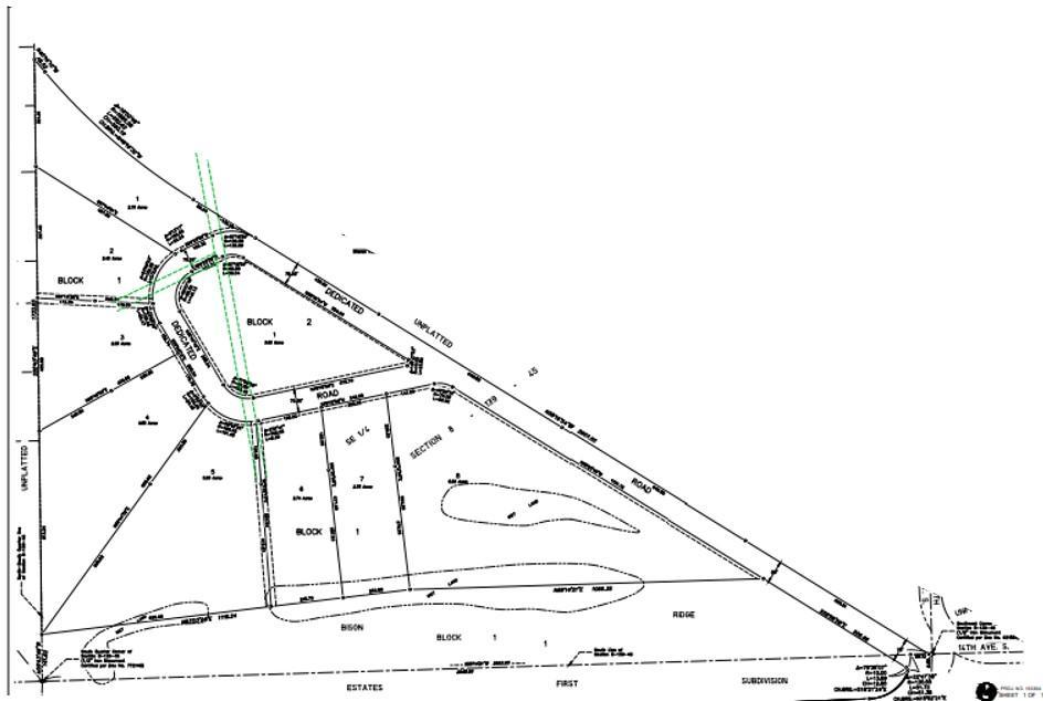 2nd edition Bison Ridge.jpg