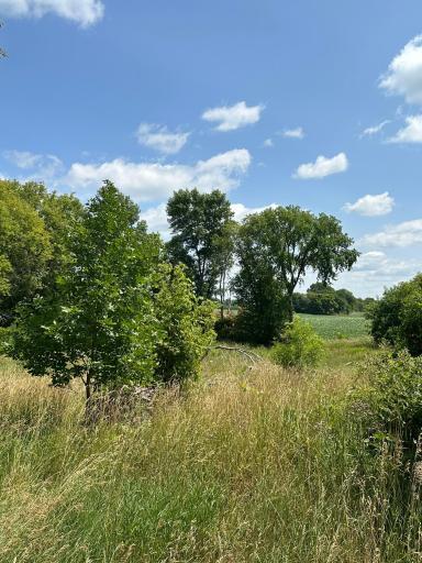19178 Csah 14, Darwin, MN 55324