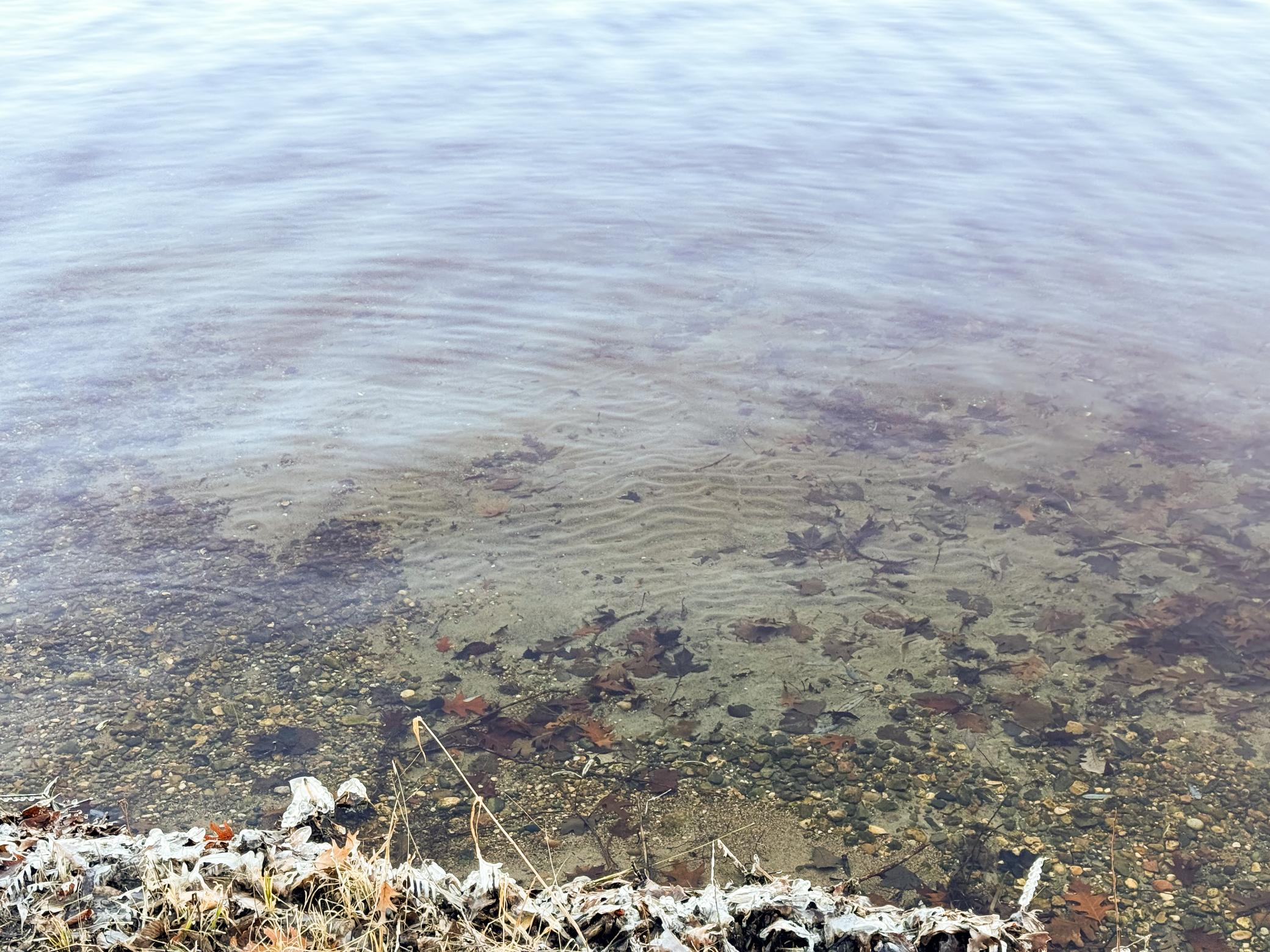Hard Sandy lakeshore