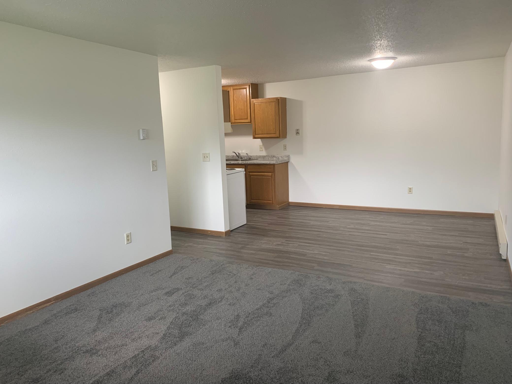 Living/Dining/Kitchen