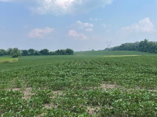 xxx county road 10 E, Chaska, MN 55318