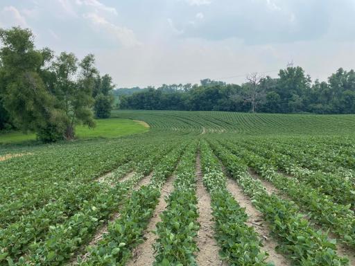 xxx county road 10 E, Chaska, MN 55318