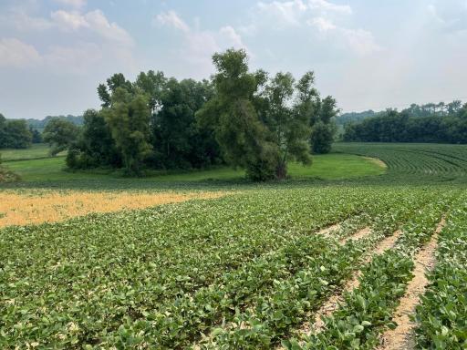 xxx county road 10 E, Chaska, MN 55318