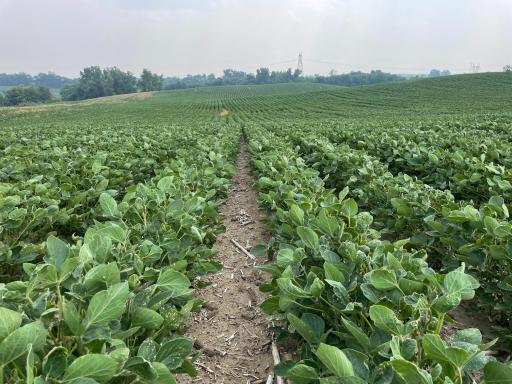 xxx county road 10 E, Chaska, MN 55318