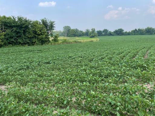 xxx county road 10 E, Chaska, MN 55318