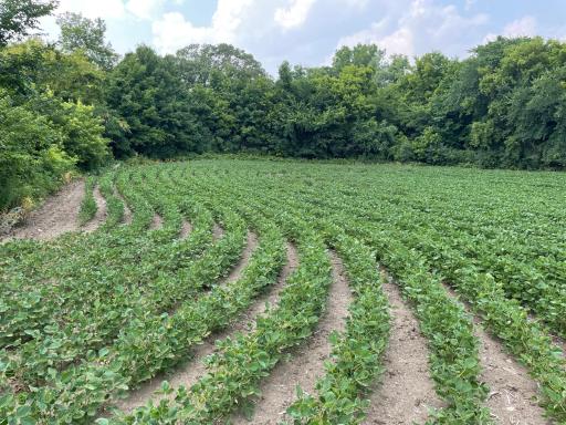 xxx county road 10 E, Chaska, MN 55318