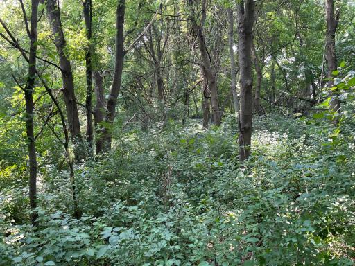 xxx county road 10 E, Chaska, MN 55318