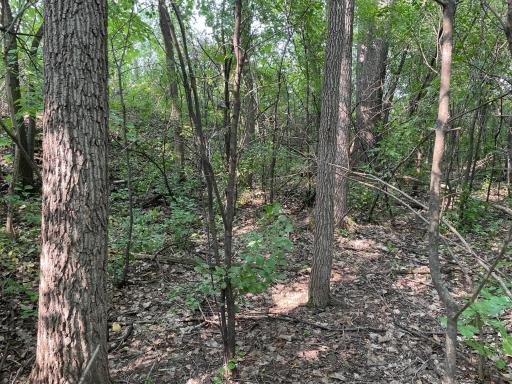 xxx county road 10 E, Chaska, MN 55318