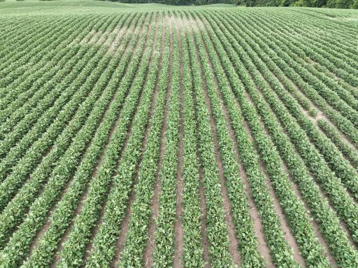 xxx county road 10 E, Chaska, MN 55318