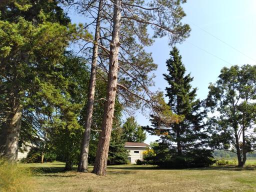 6442 88th Street SW, Motley, MN 56466