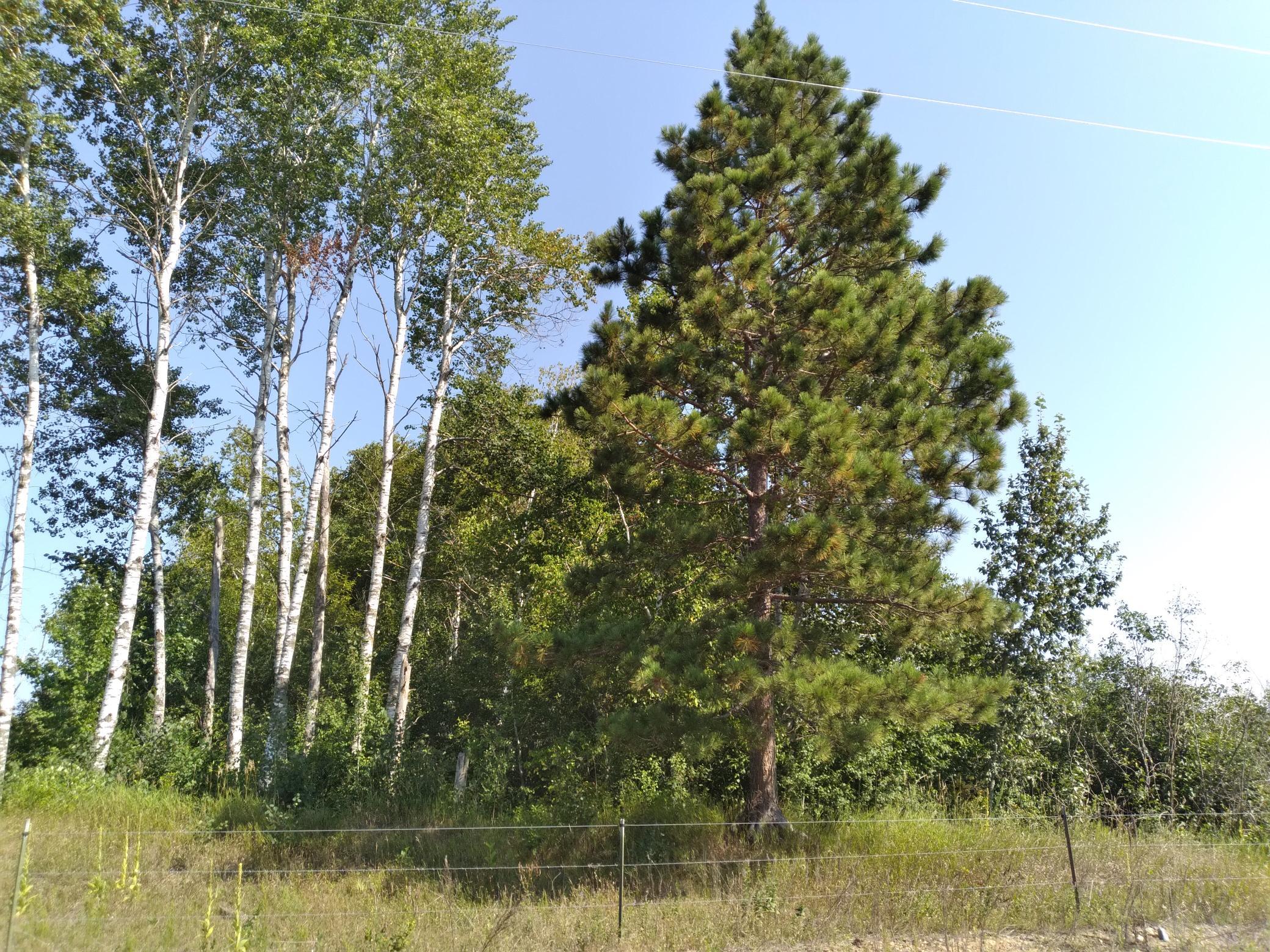 20230819_110855.jpg