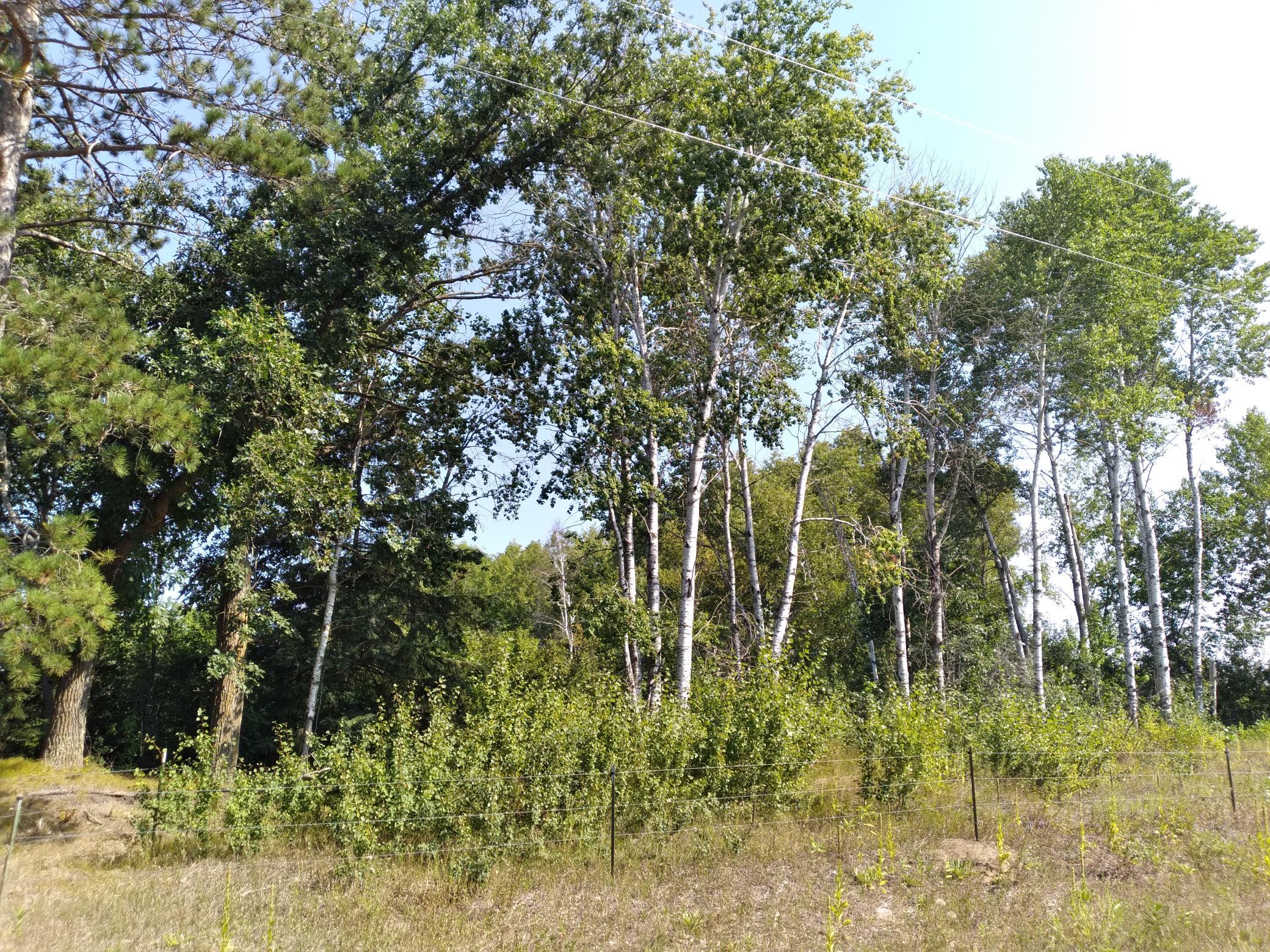 20230819_110833.jpg