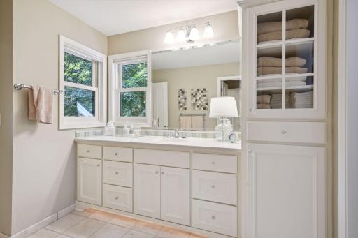 821 Smithtown Terrace, Excelsior, MN 55331