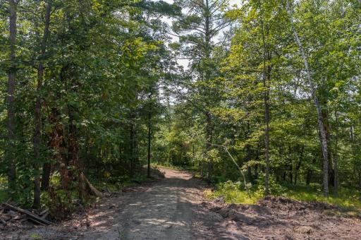 25523 Roy Lane, Nisswa, MN 56468