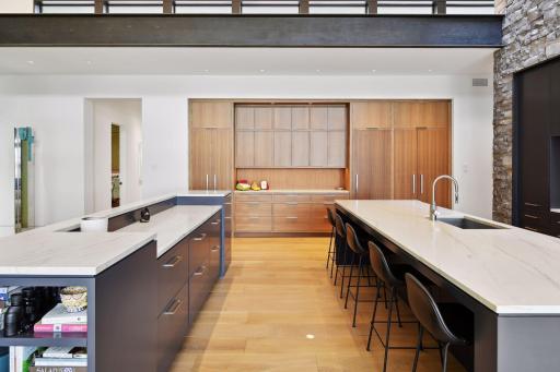 Beautiful storage spaces and secret door to pantry